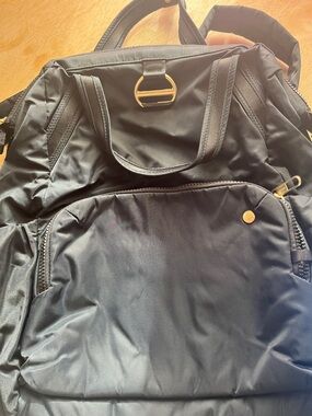 Pac Safe Black Backpack